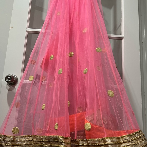 Indian latest lehnga sari dress - Picture 4 of 14